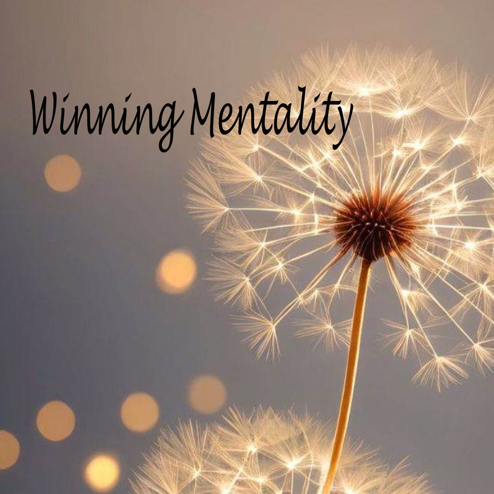 Album cover of Winning Mentality