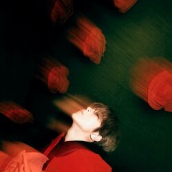 Cover of Dingo X BIG Naughty
