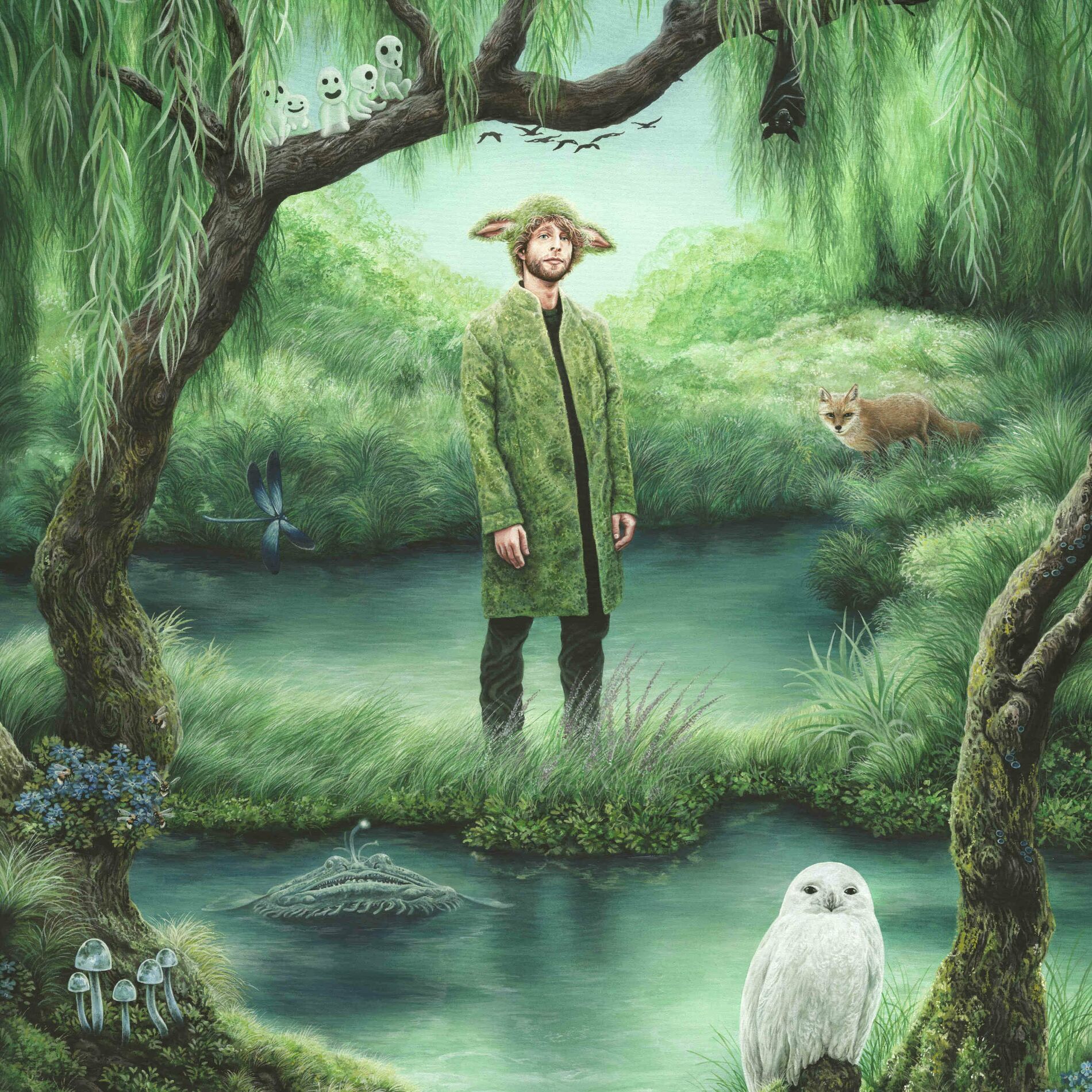 Album cover of Aniimals