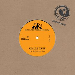 Cover of Really True (The Scientist Dub)