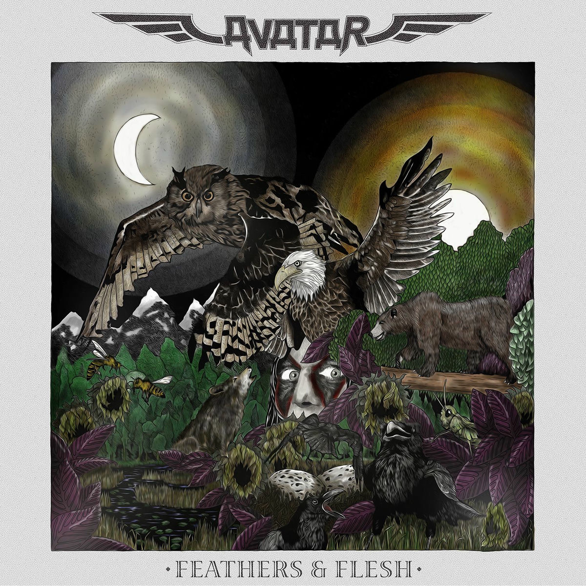 Album cover of Feathers & Flesh