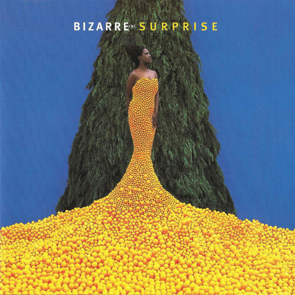 Picture of Surprise
