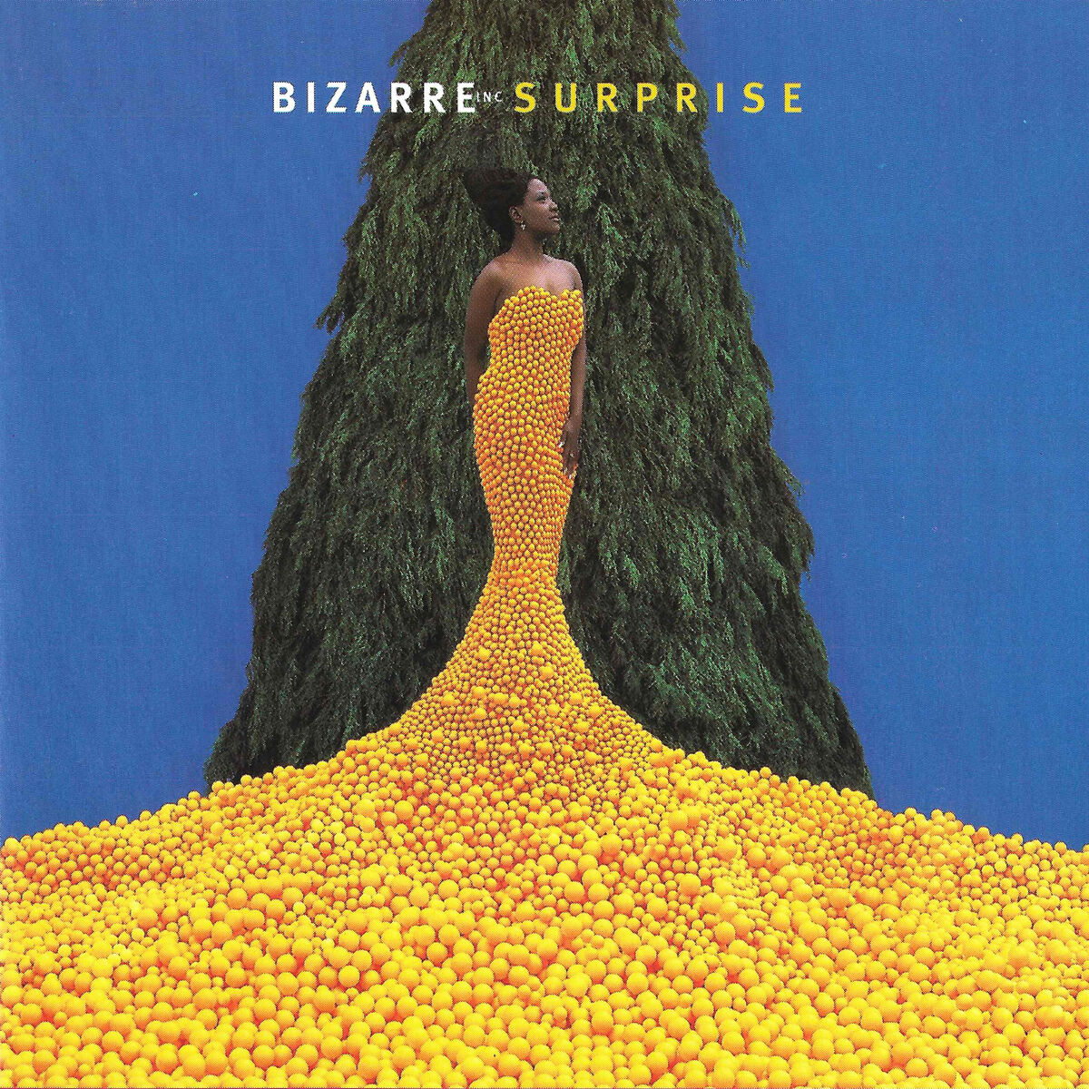 Album cover of Surprise