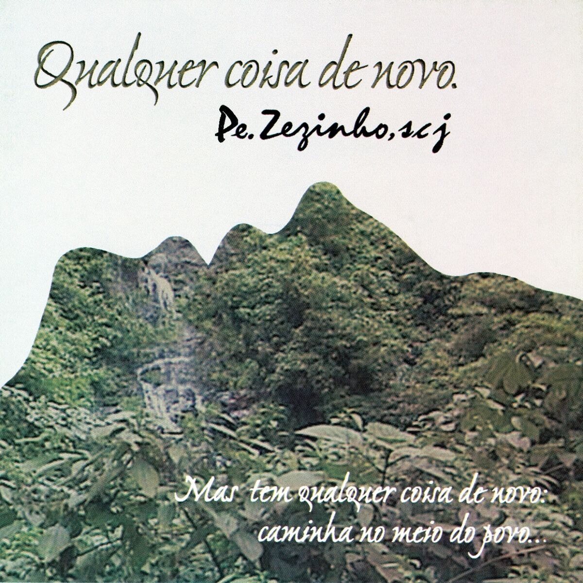 Album cover of Qualquer Coisa de Novo