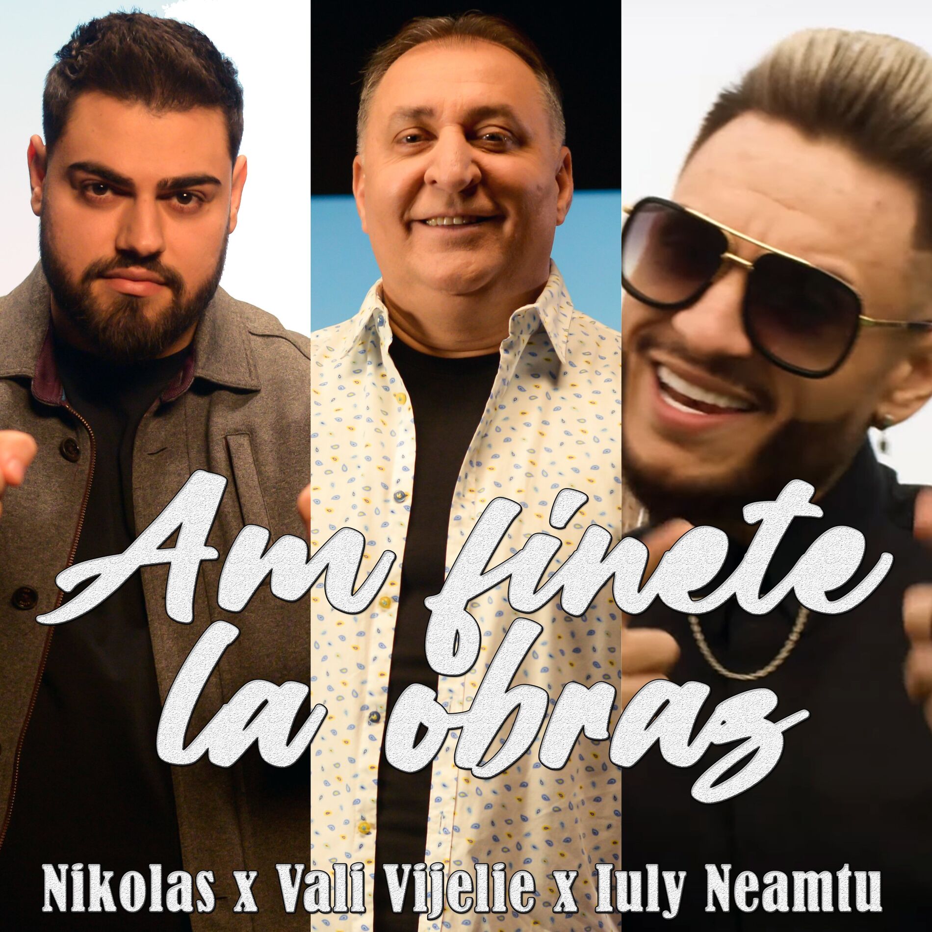 Album cover of Am Finete La Obraz