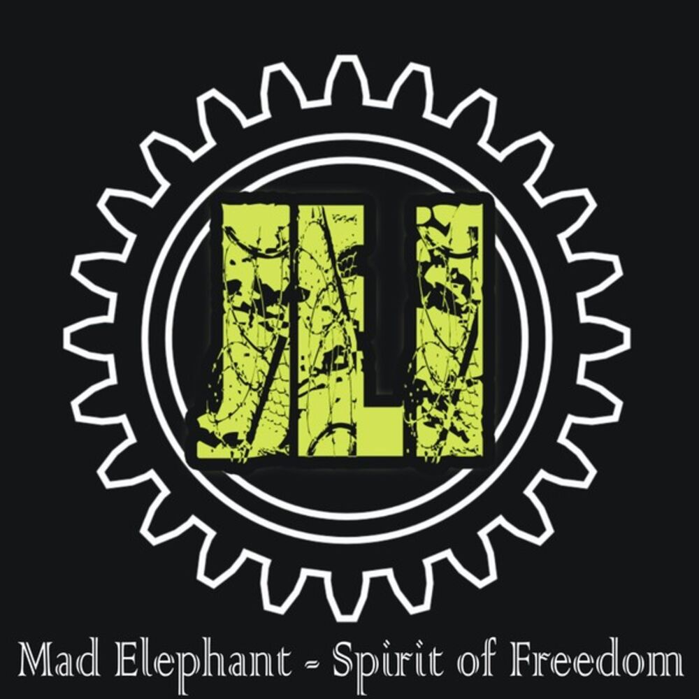 Picture of Spirit of Freedom