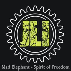 Cover of Spirit of Freedom