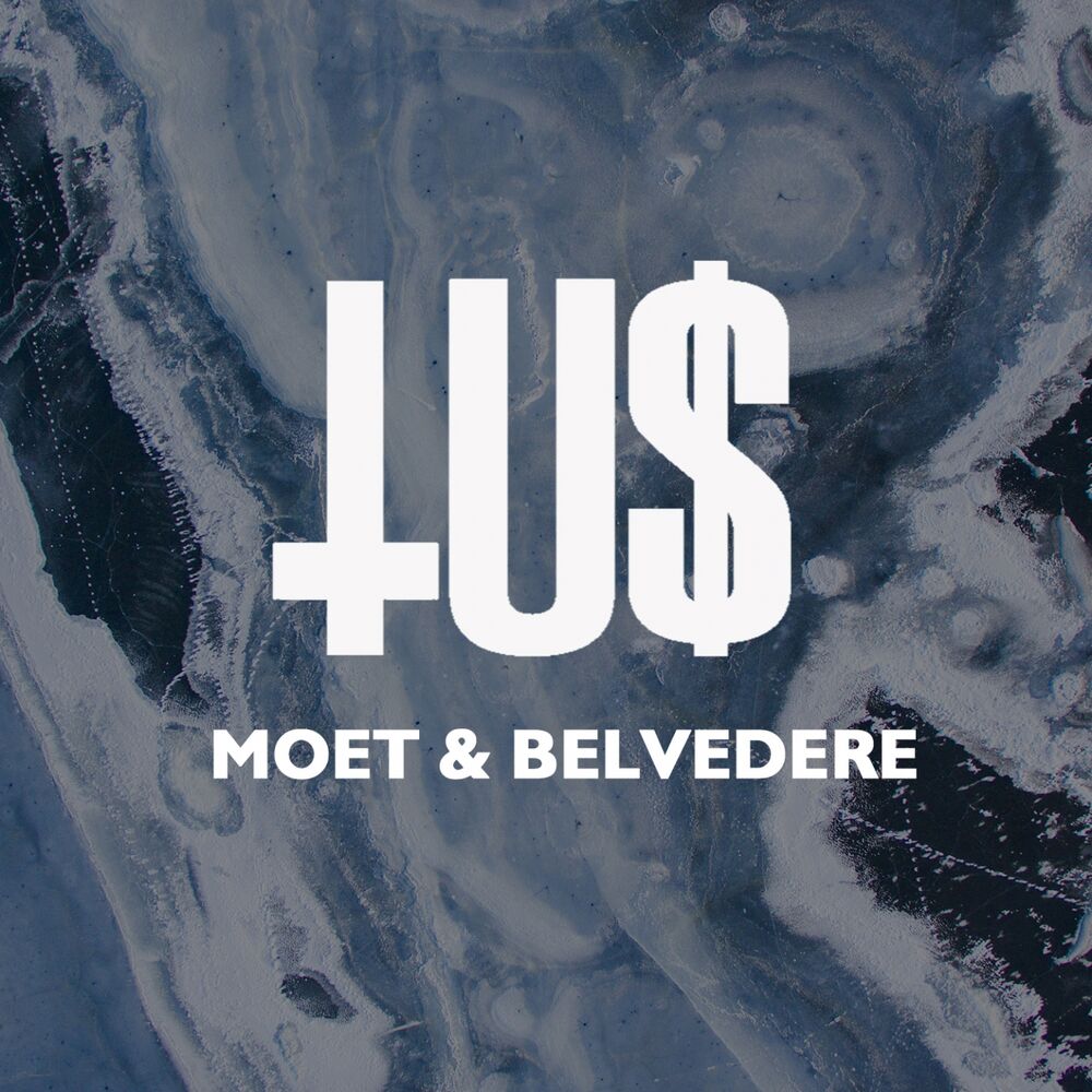 Picture of Moët & Belvedere