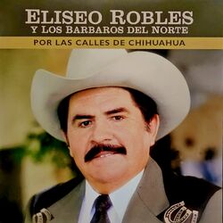 Cover of Por Las Calles De Chihuahua