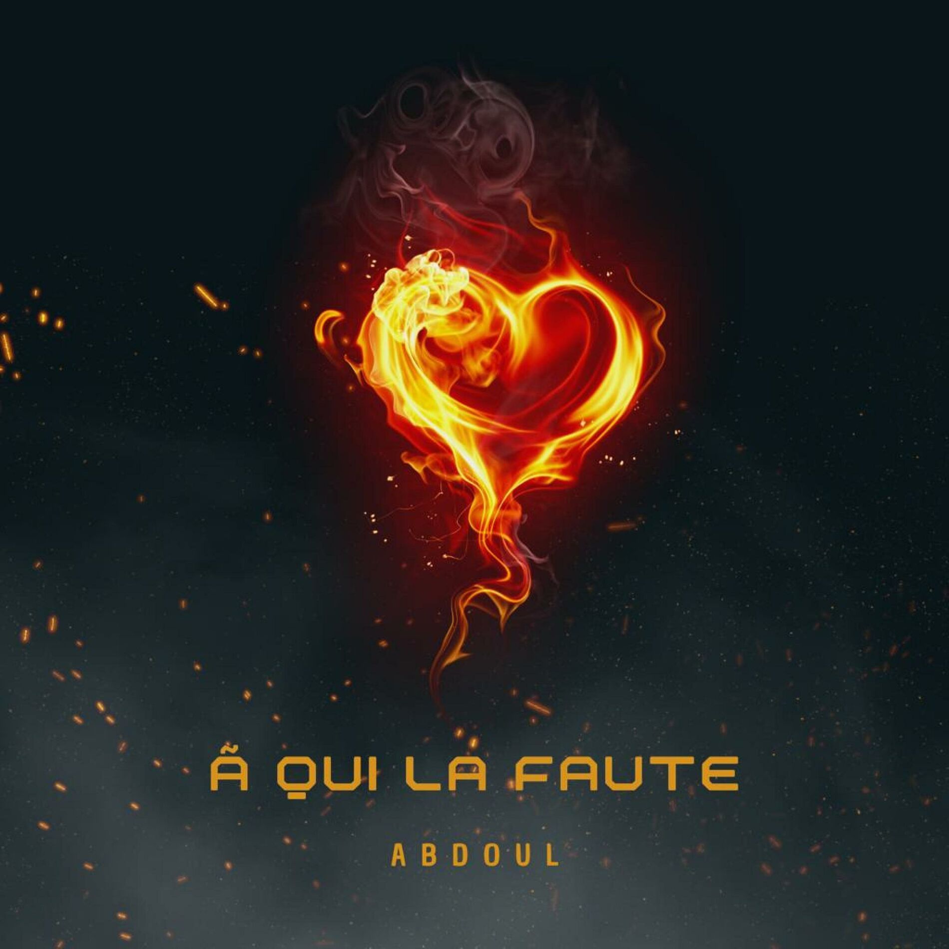 Album cover of Ã qui la faute