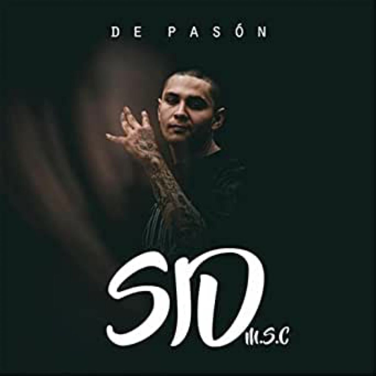 Album cover of De Pasón