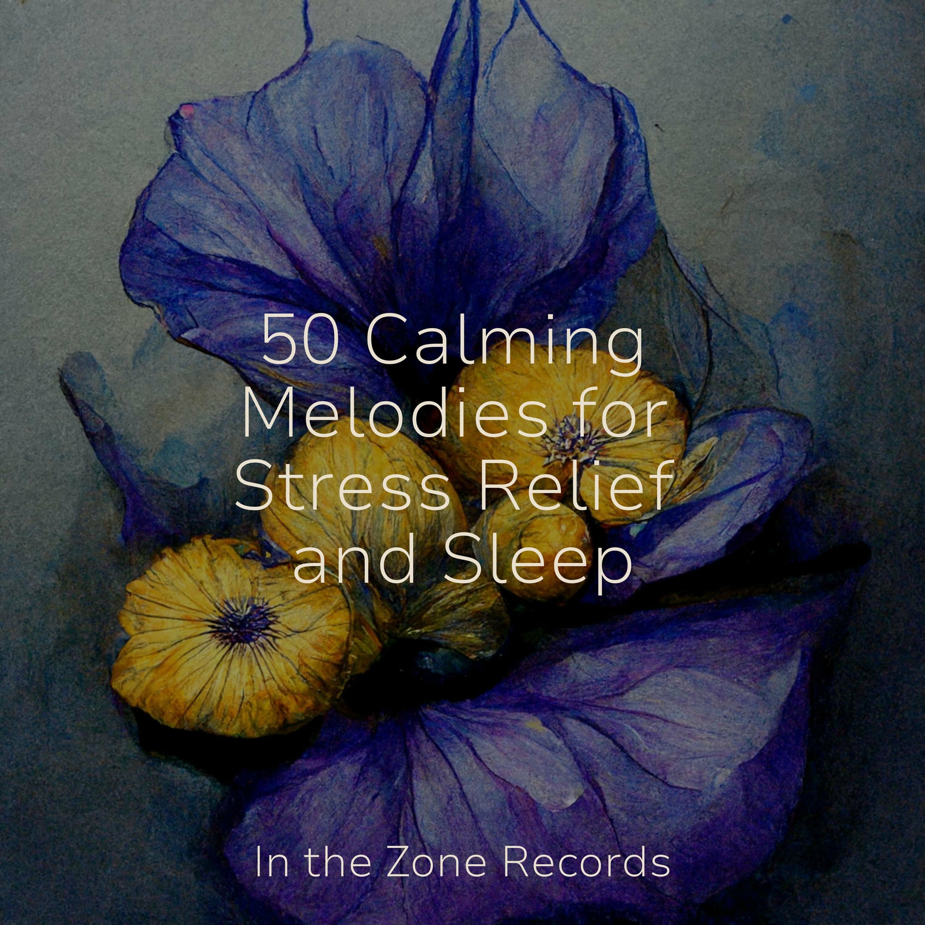 Album cover of 50 Calming Melodies for Stress Relief and Sleep