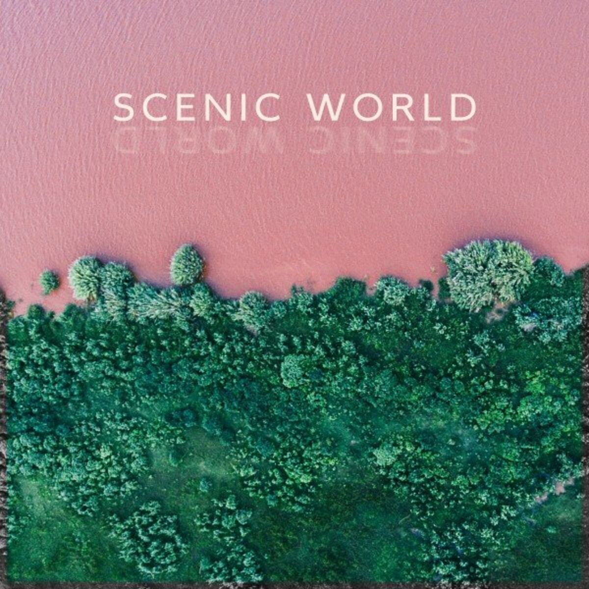 Album cover of Scenic World