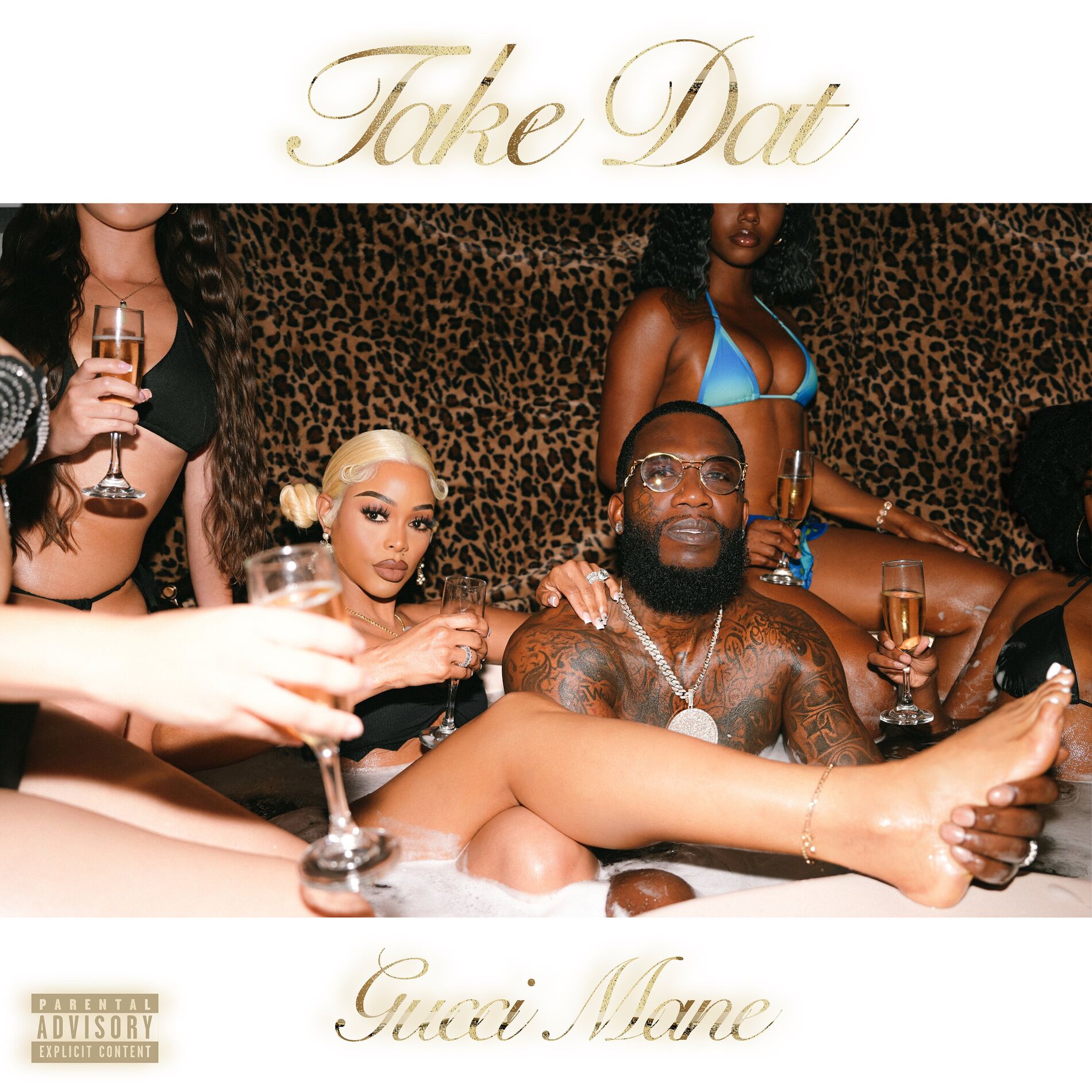 Album cover of TakeDat
