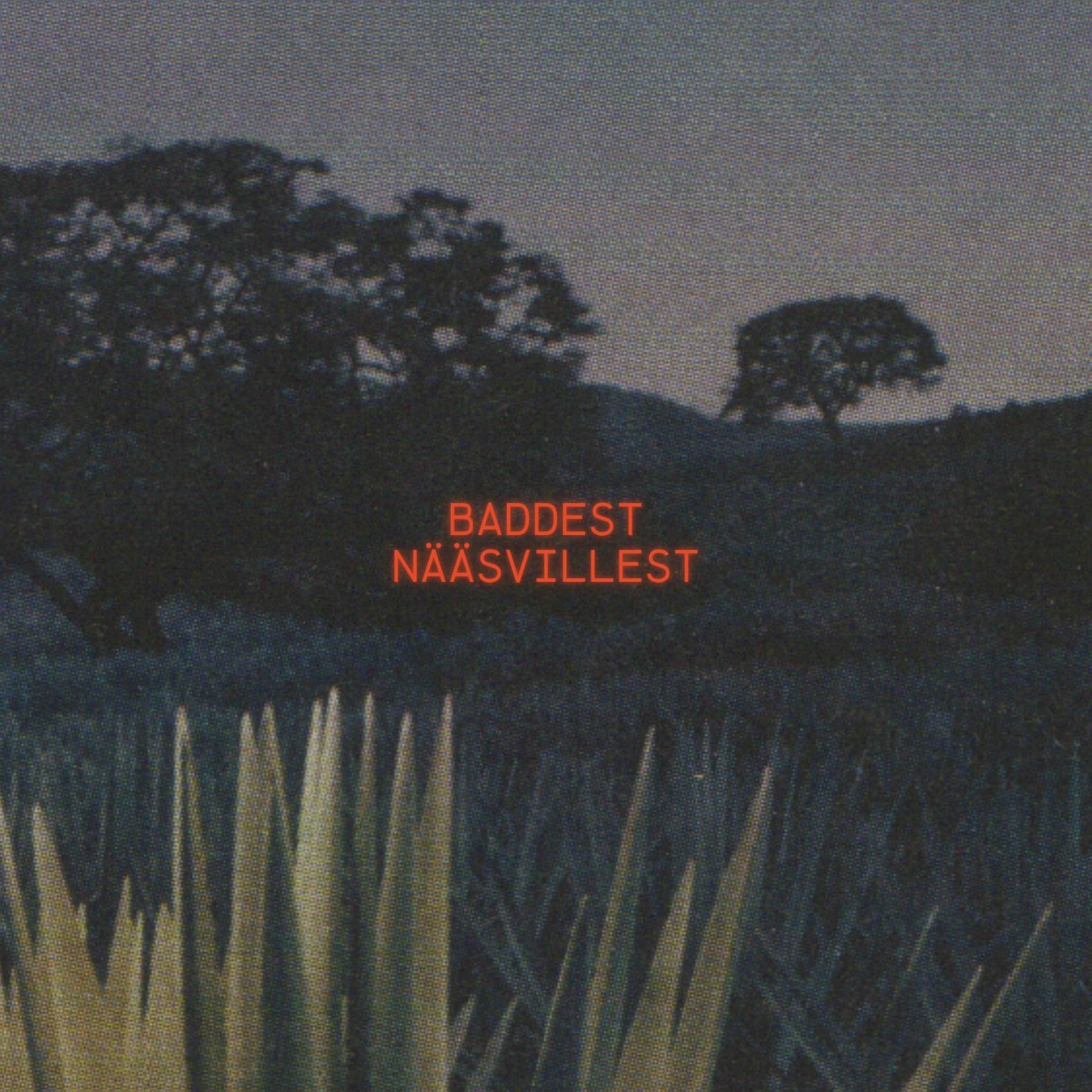 Album cover of Baddest Nääsvillest