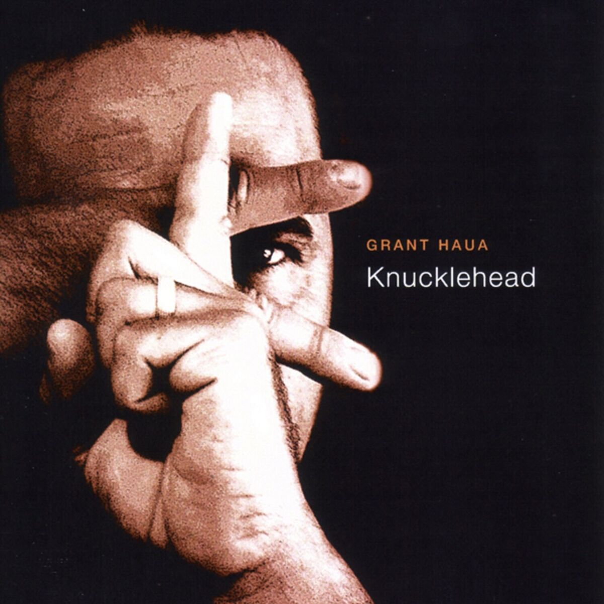 Album cover of Knucklehead