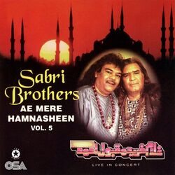 Cover of Ae Mere Hamnasheen, Vol. 5