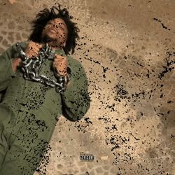 Cover of Slave