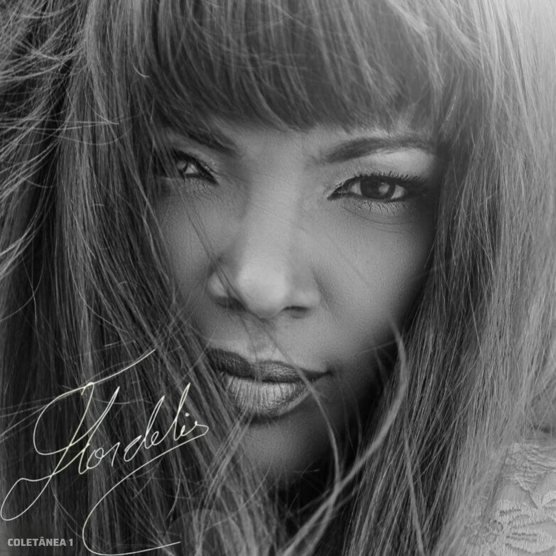 Album cover of Coletânea