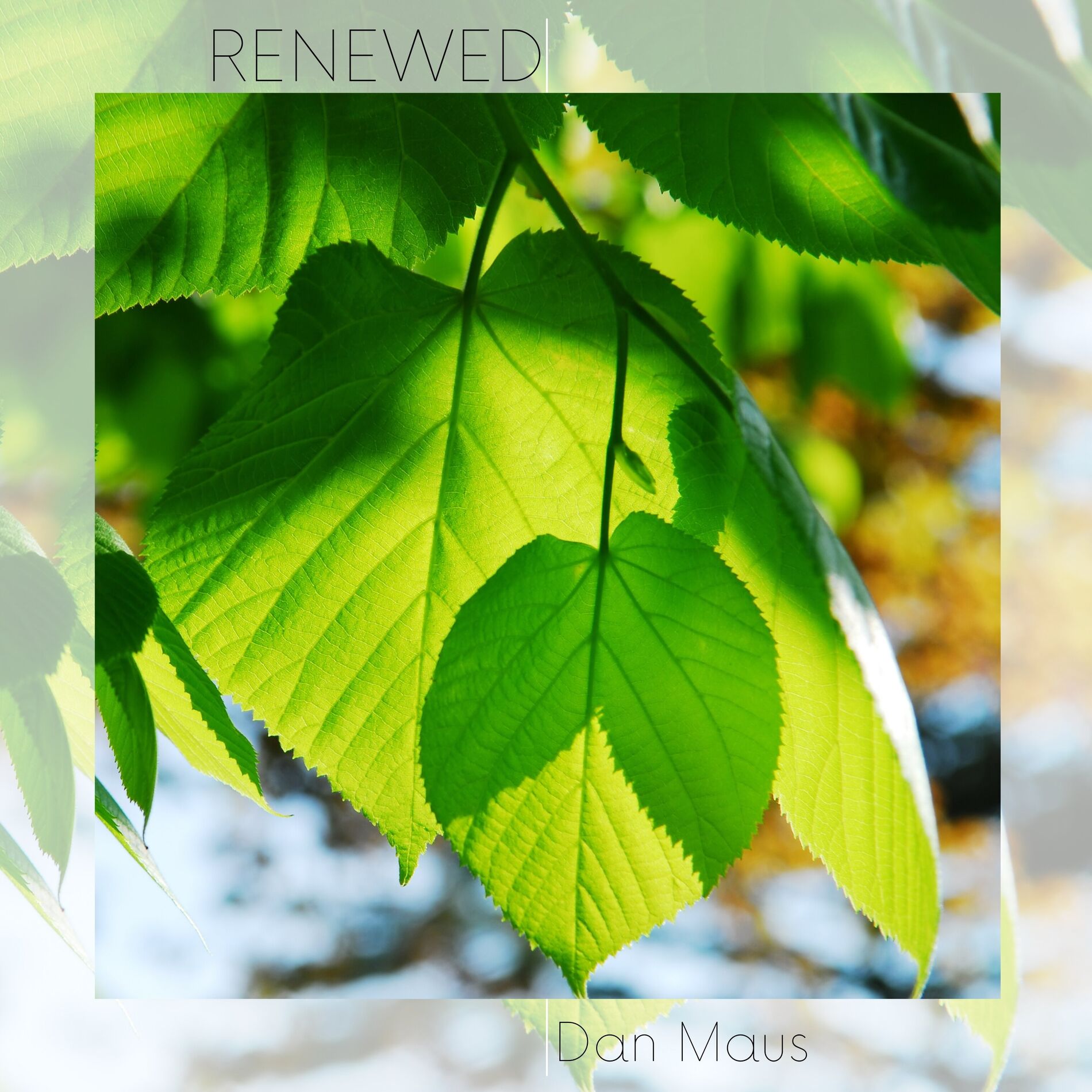 Album cover of Renewed