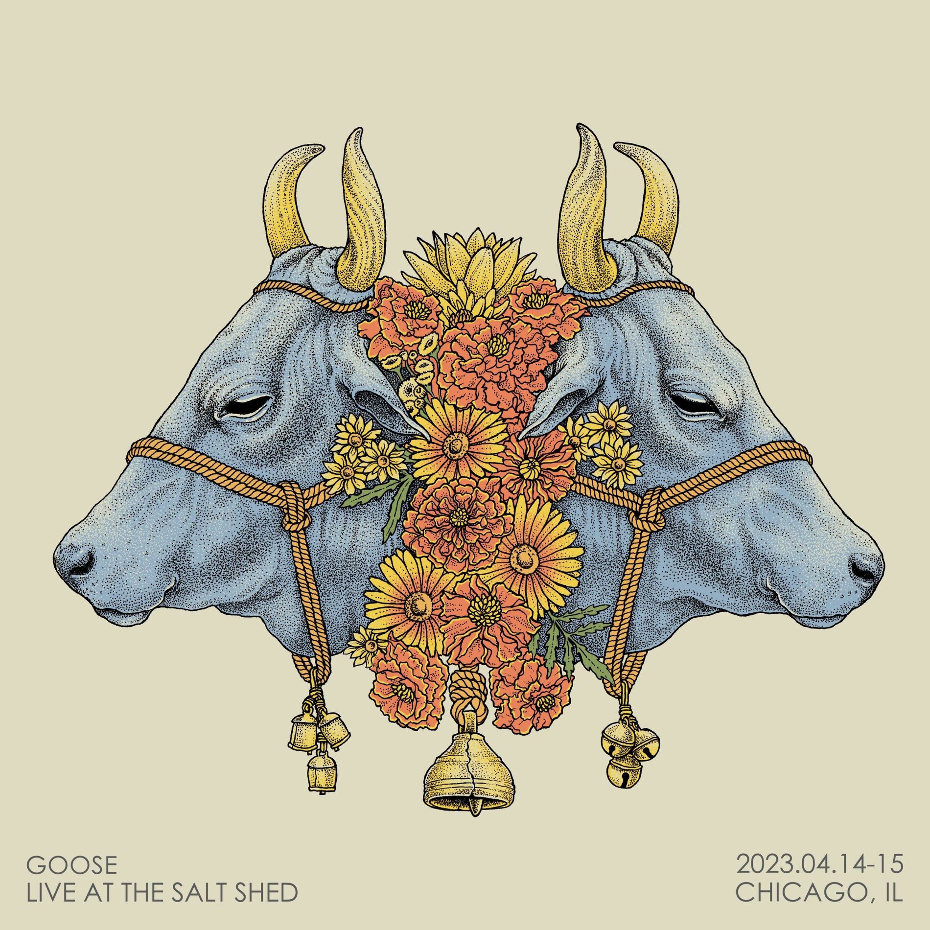 Album cover of Live at The Salt Shed