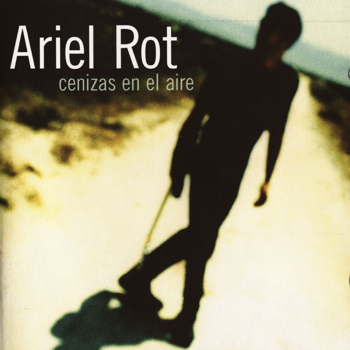 Album cover of Cenizas En El Aire