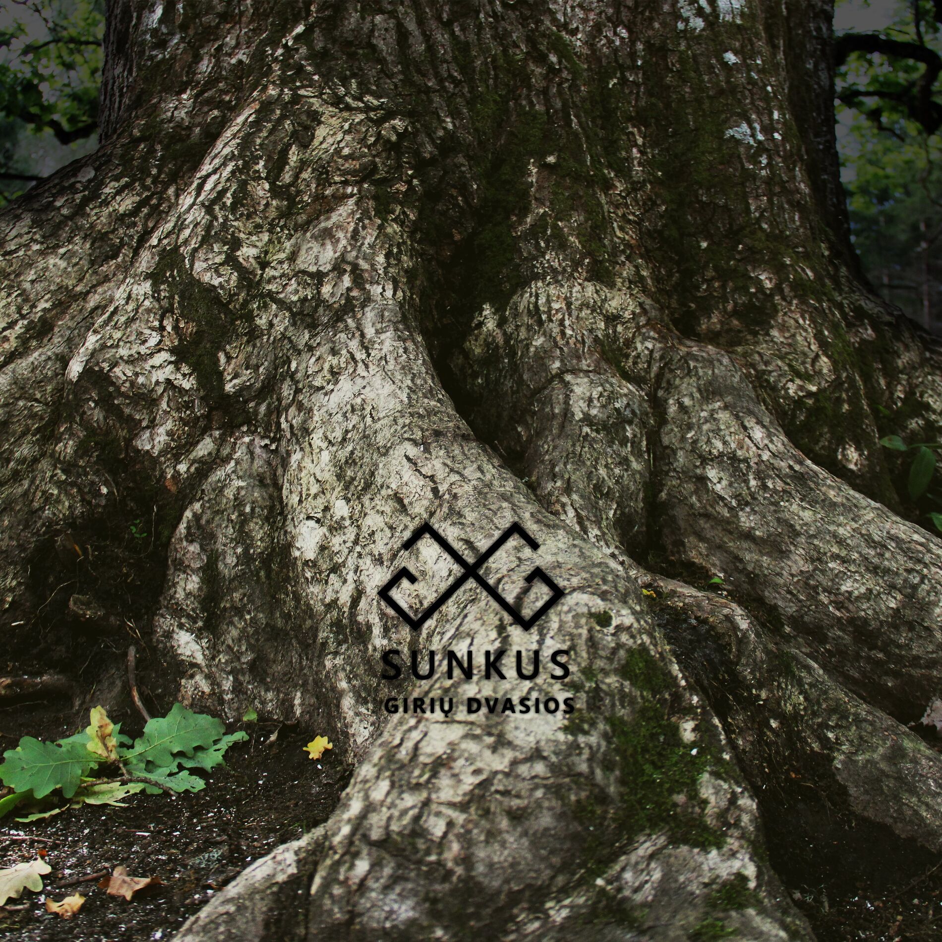 Album cover of Sunkus