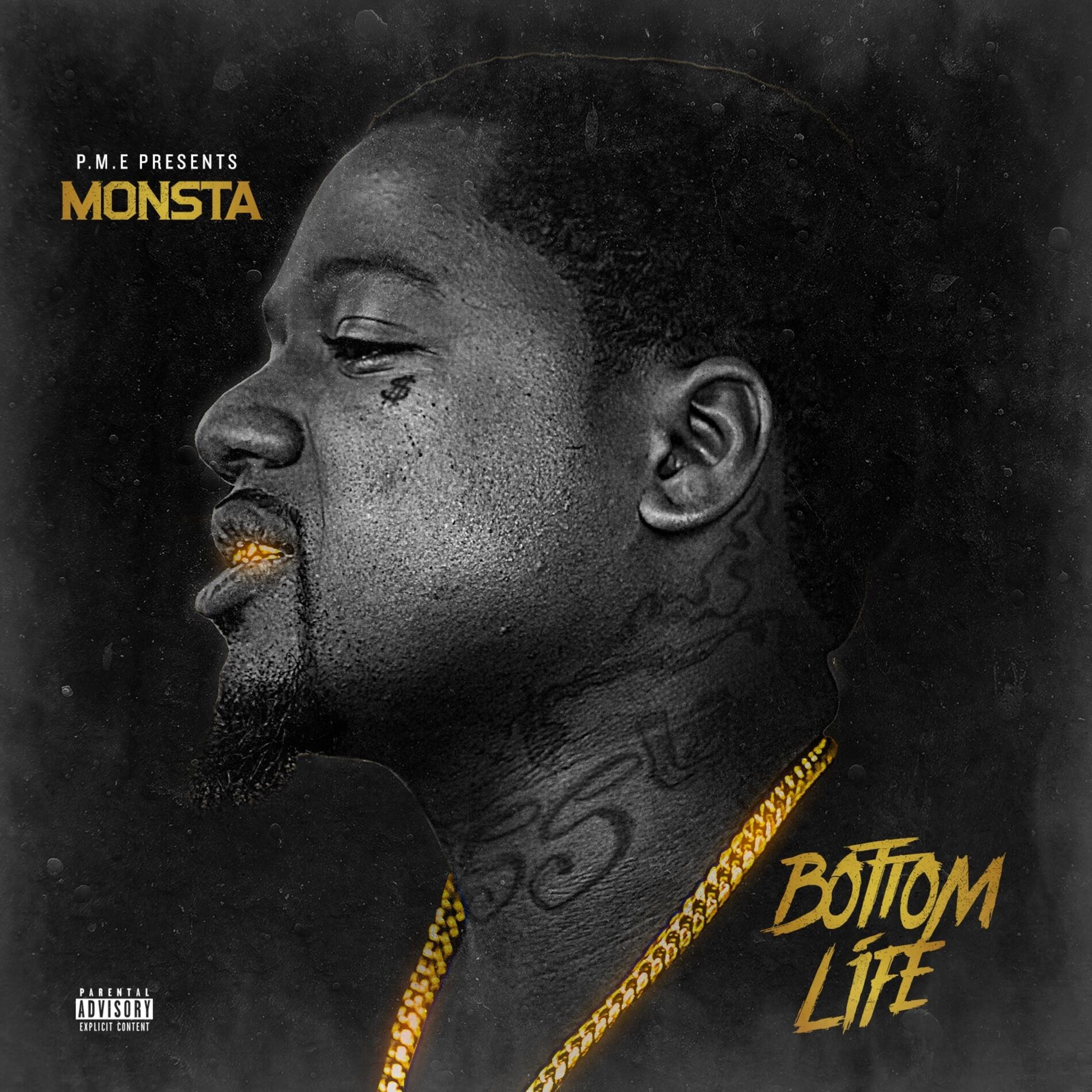 Album cover of Bottom Life