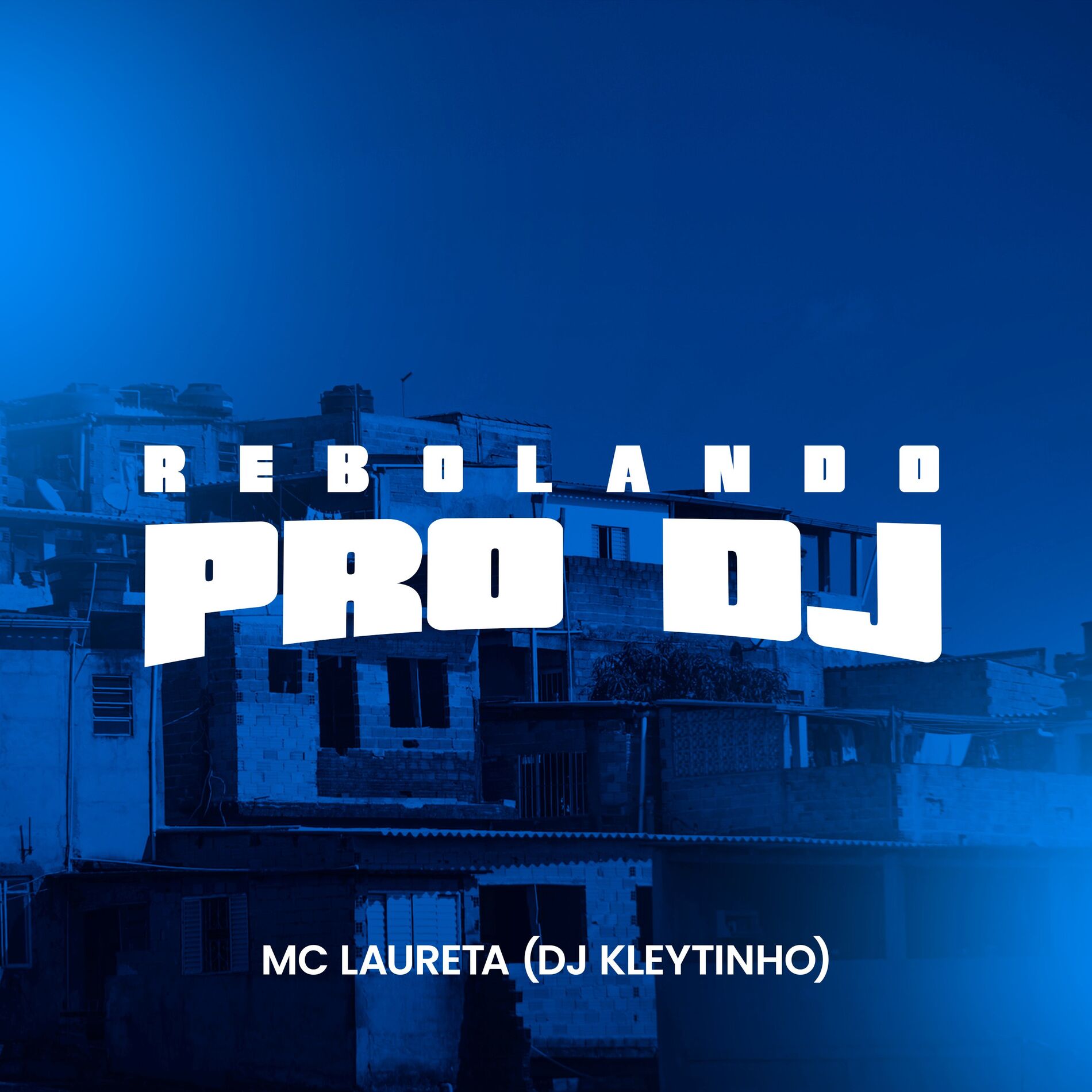Album cover of Rebolando pro Dj