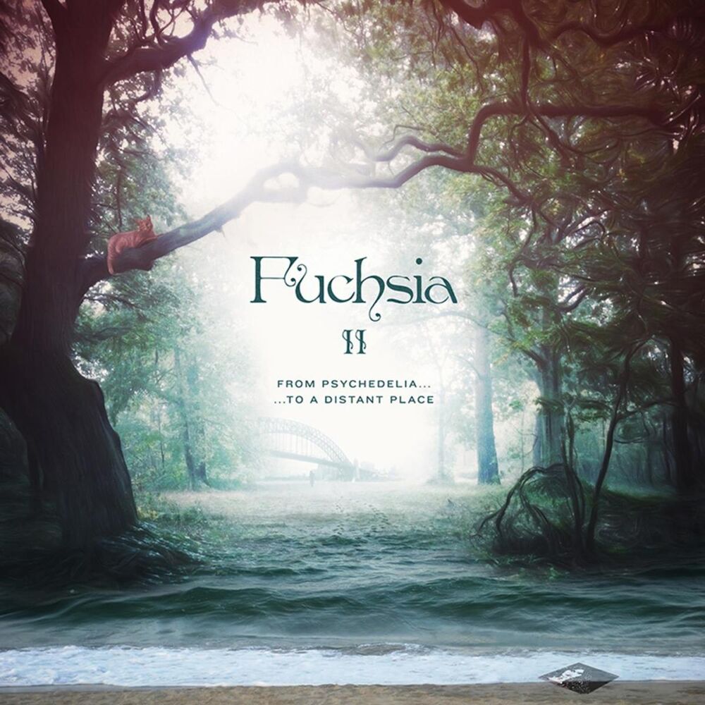 Picture of Fuchsia II : From Psychedelia to a Distant Place