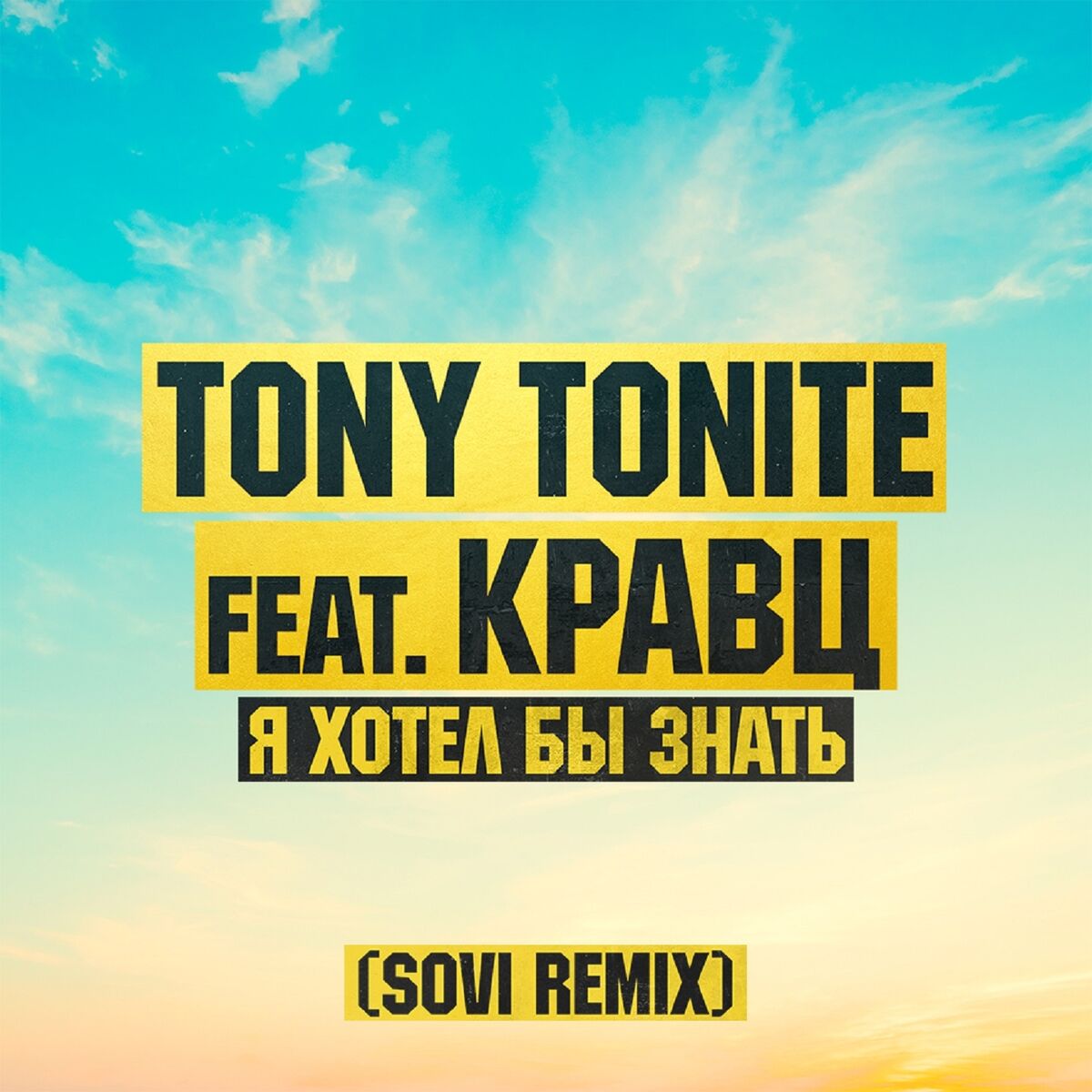 Album cover of Я хотел бы знать (SOVI Remix)