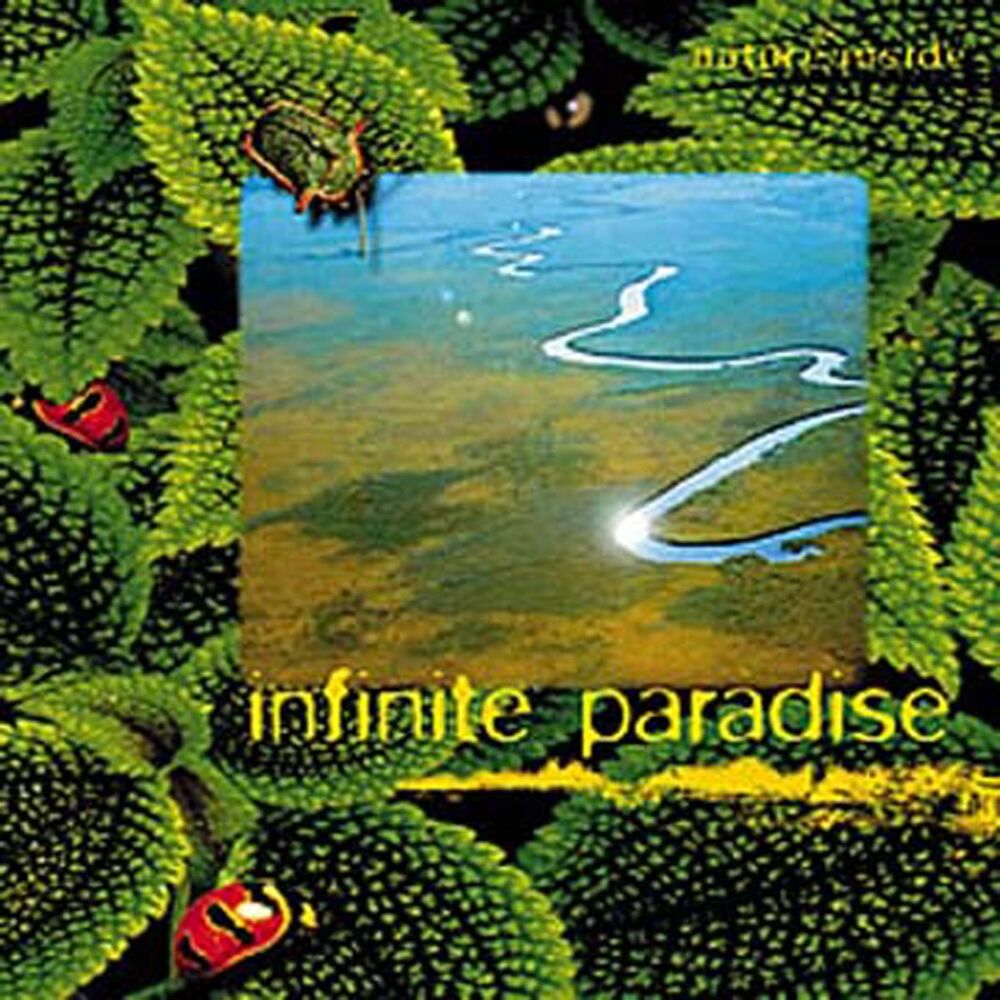 Picture of Infinite Paradise