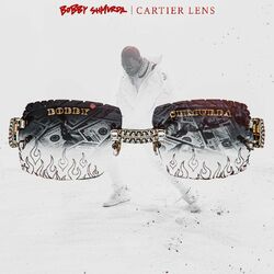 Cover of Cartier Lens