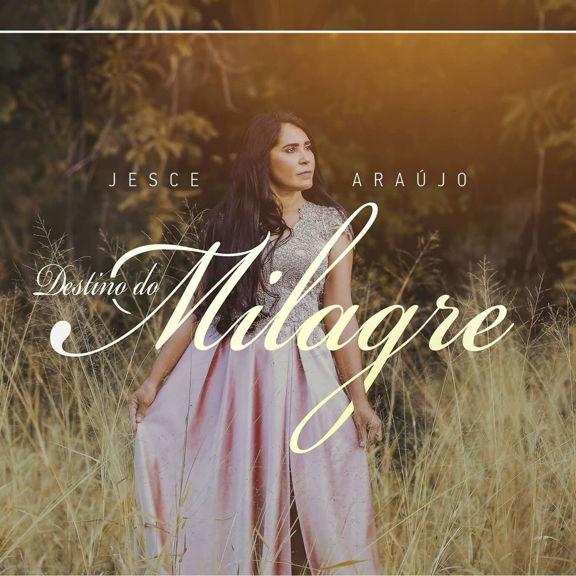 Album cover of Destino do Milagre