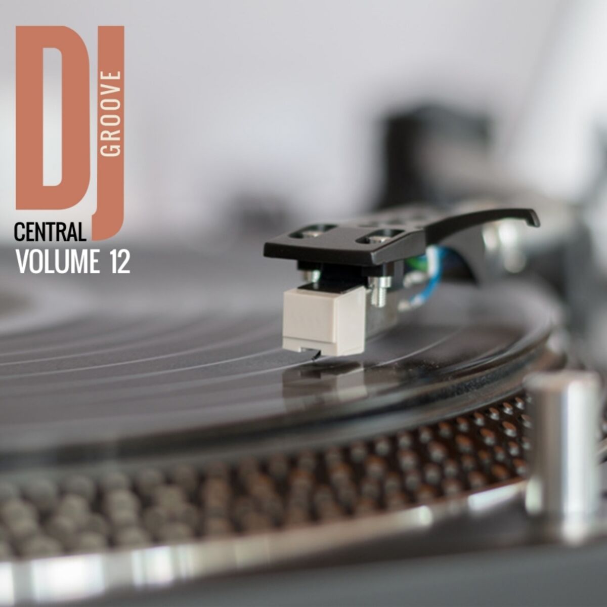 Album cover of DJ Central - Groove, Vol. 12