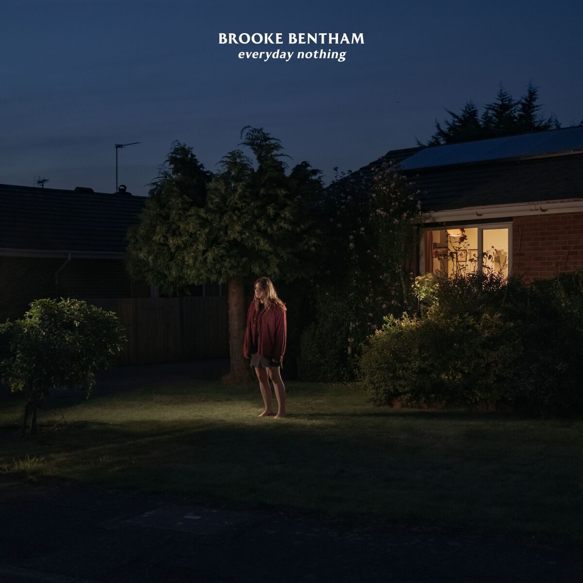 Album cover of Everyday Nothing