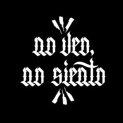 Cover of No Veo, No Siento