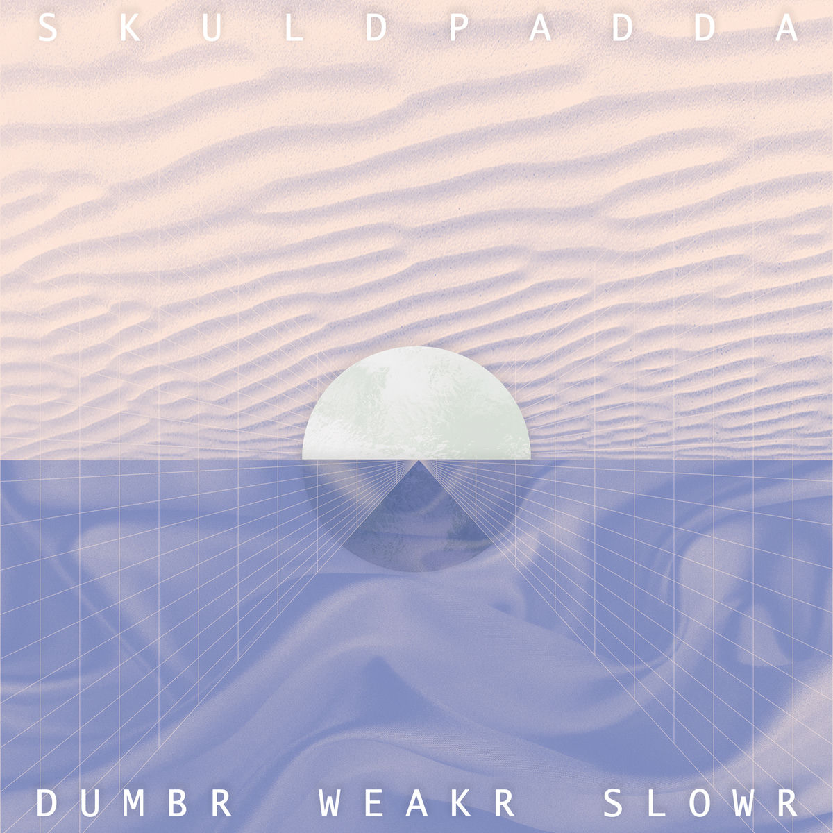 Album cover of Dumbr Weakr Slowr