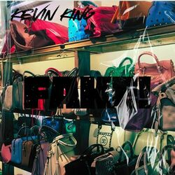 Cover of FAKE!