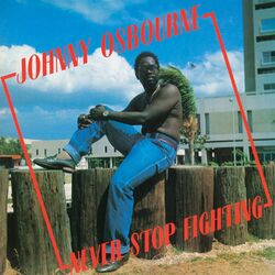 Cover of Never Stop Fighting