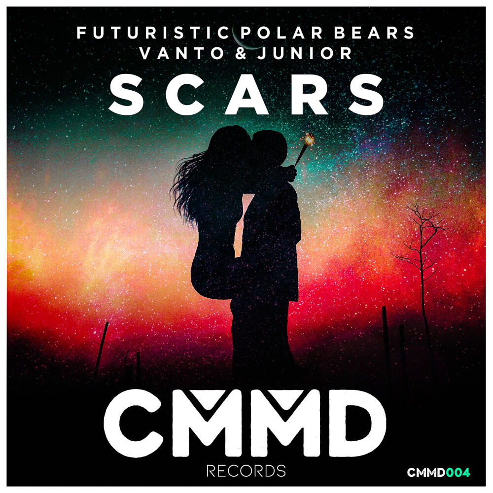 Picture of Scars