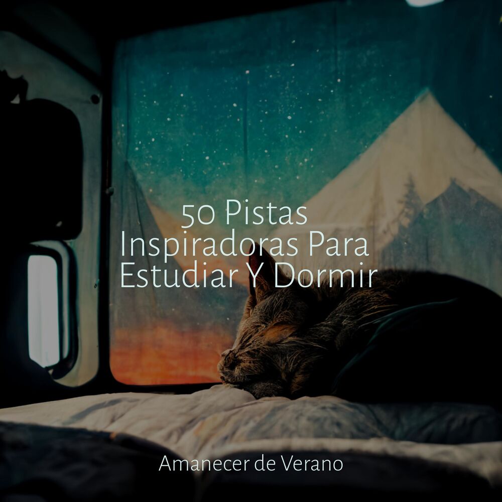 Picture of 50 Pistas Inspiradoras Para Estudiar Y Dormir