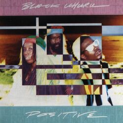 Cover of Positive