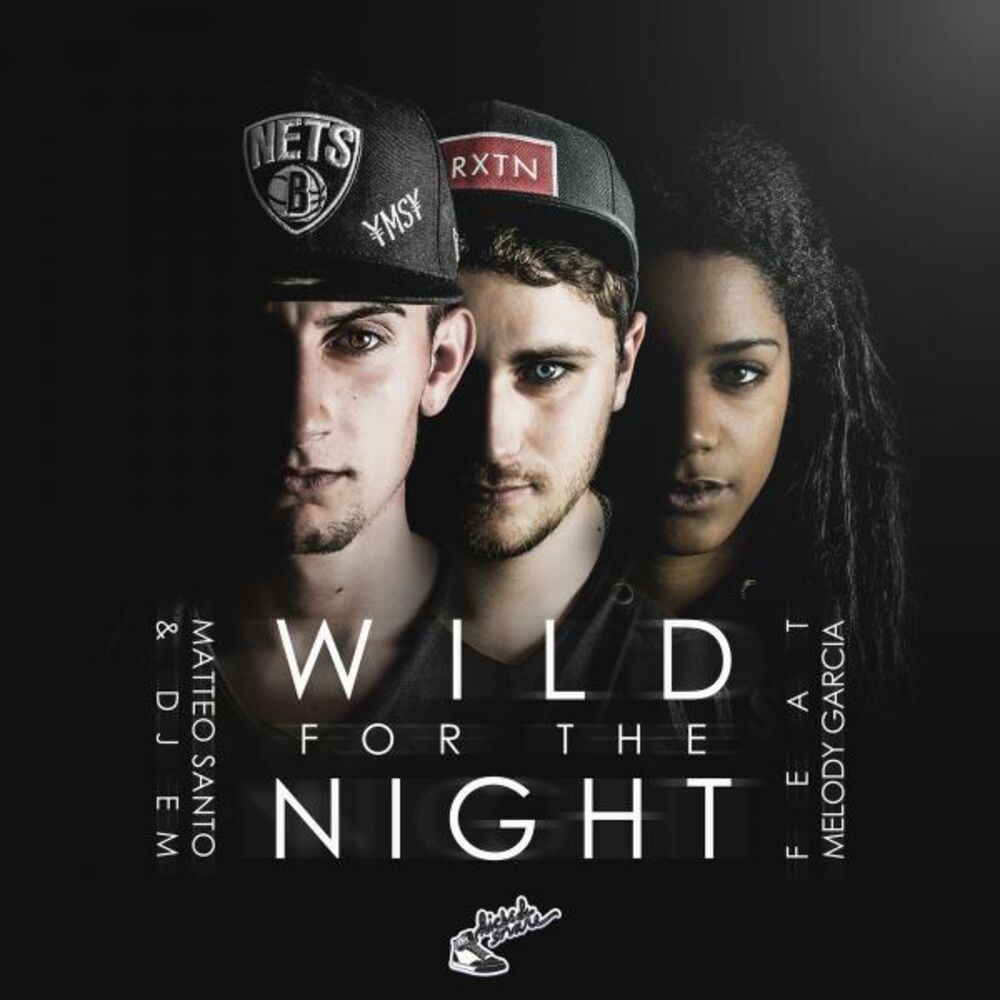 Picture of Wild for the Night