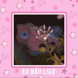Cover of Eu Não Ligo