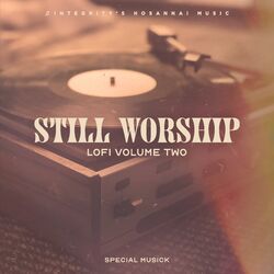 Cover of Special Musick LoFi, Vol. 2