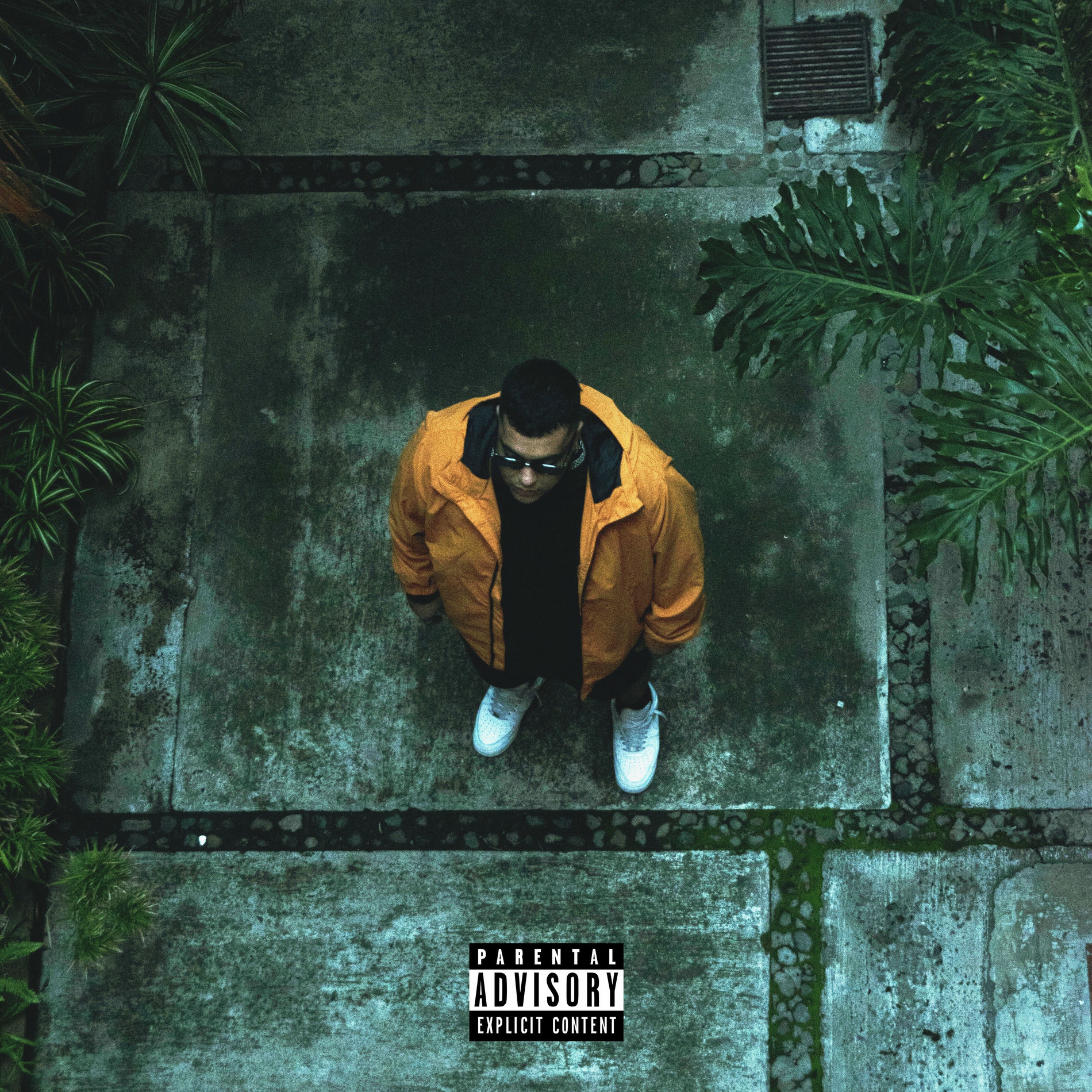 Album cover of Rey de Mi