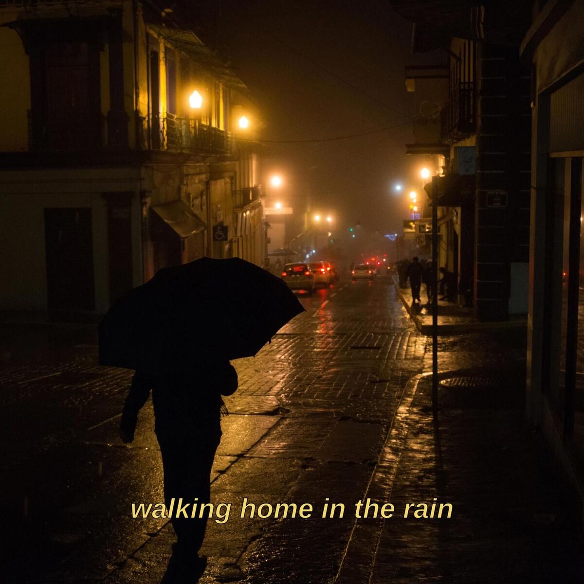 Album cover of walking home in the rain