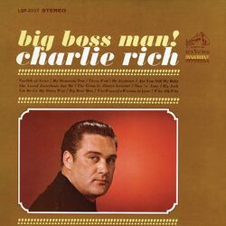 Cover of Big Boss Man