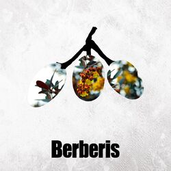 Cover of Baked EP